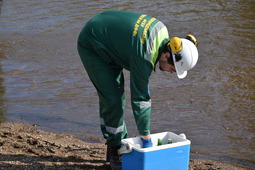 Пробы воды, донных отложений и воздуха в районе Амурского ГПЗ соответствуют экологическим нормативам.