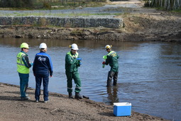 Эксперты оценили качество поверхностных вод реки Большая Пера по 27 показателям, отборы проб проводились по фоновому и контрольному створам.